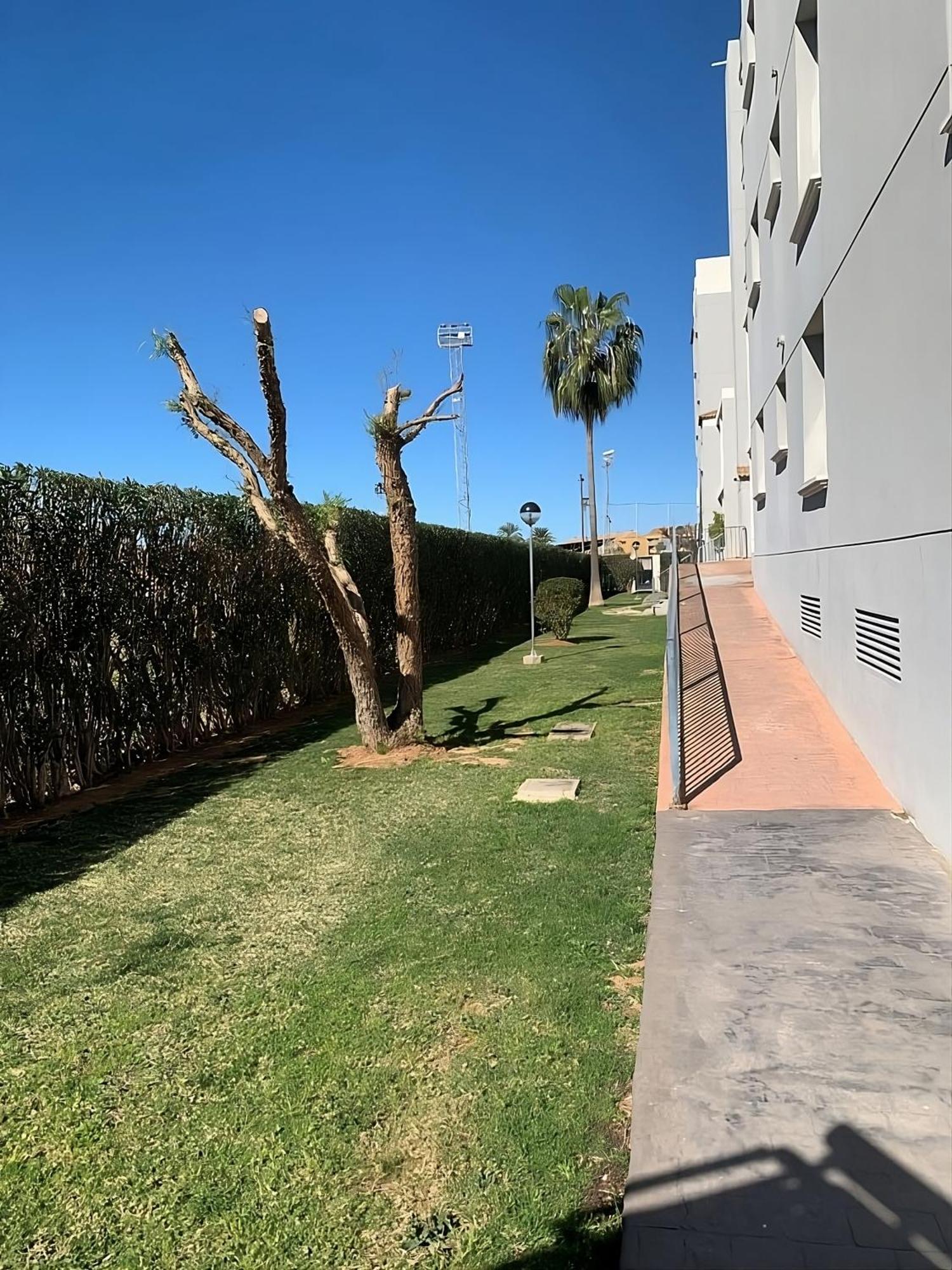 Apartamento Prendisole Denia Con Piscina Y Terraza Exterior foto
